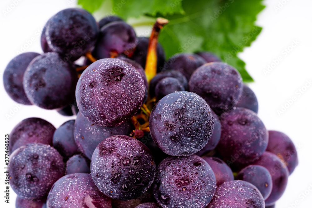 Fototapeta premium purple grapes with water drops on white background