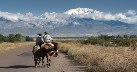 Fotobehang Cappuccinokleur Argentinian gauchos on the road  © nickalbi