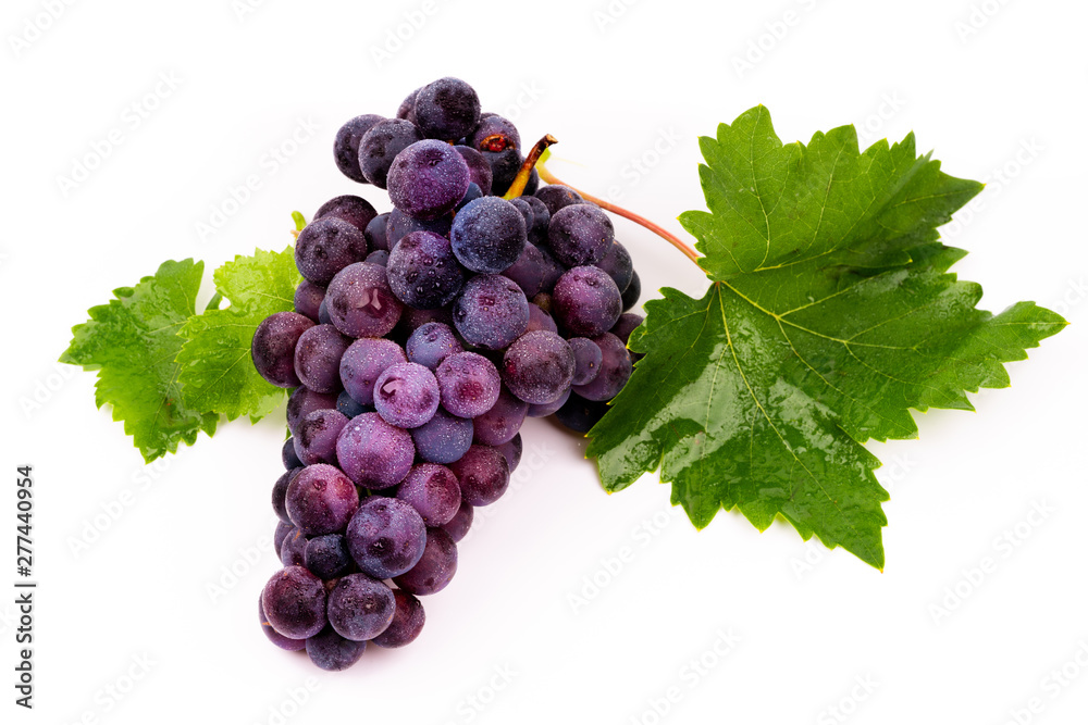 Fototapeta premium purple grapes with water drops on white background