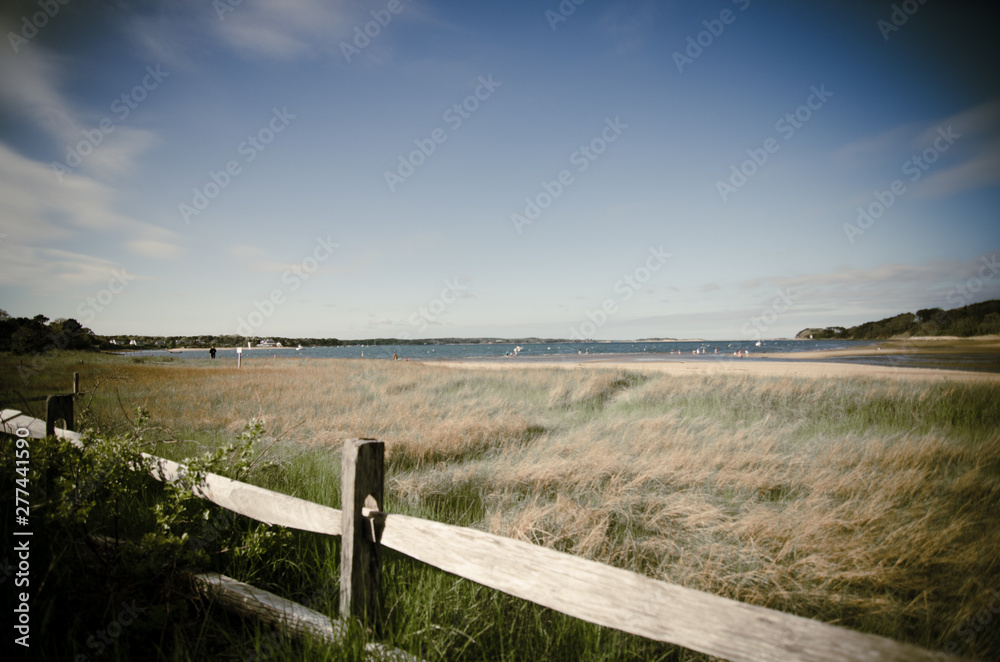 landscape with wooden fence