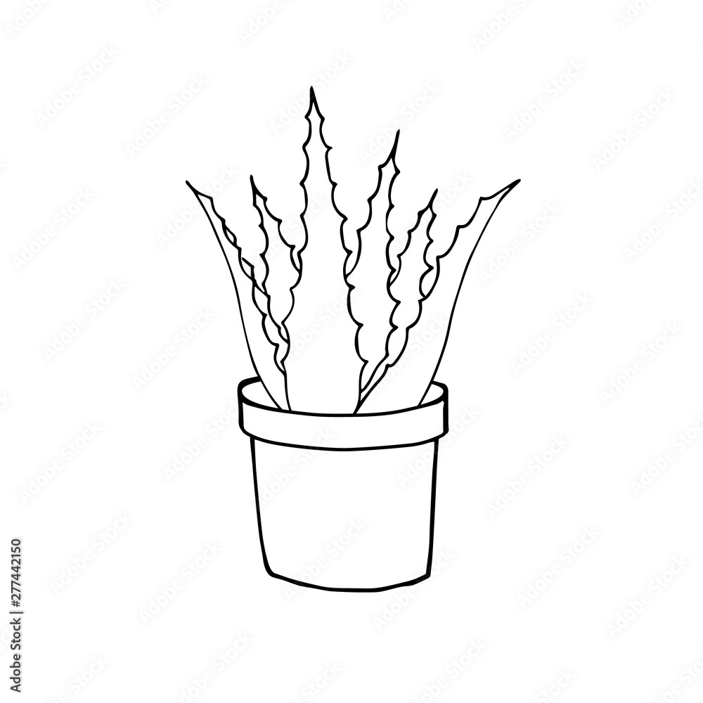 Vector black outline hand drawn sketch doodle aloe vera in flower pot ...