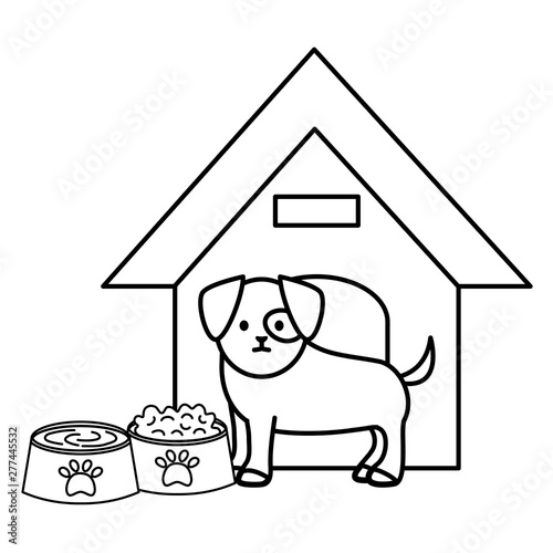 little dog adorable with wooden house