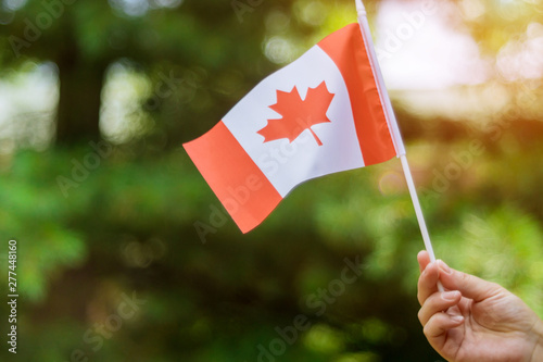 Female hand holding Canadian flag to celebrate the Canada Day holiday © ungvar