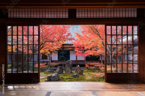 京都　建仁寺の紅葉 photo