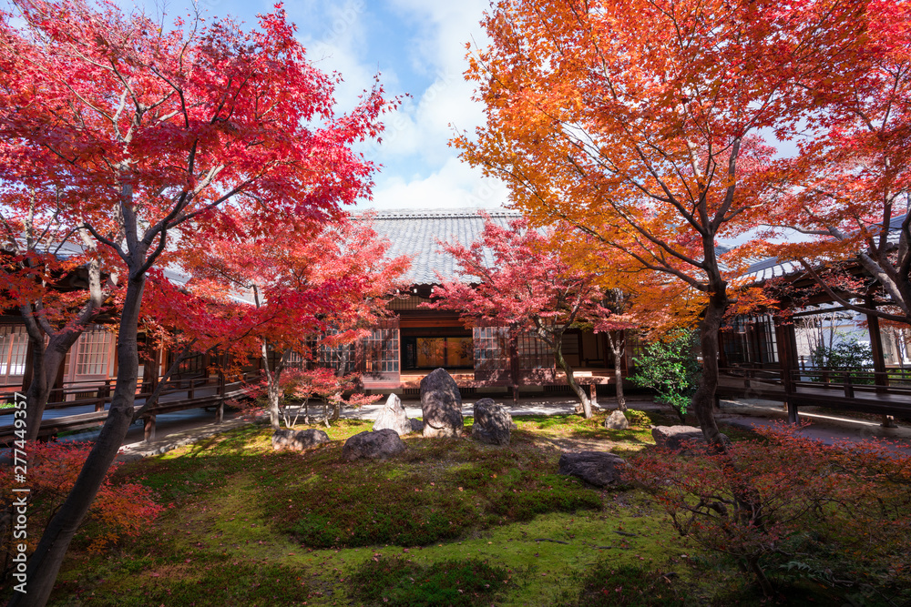 京都　建仁寺の紅葉