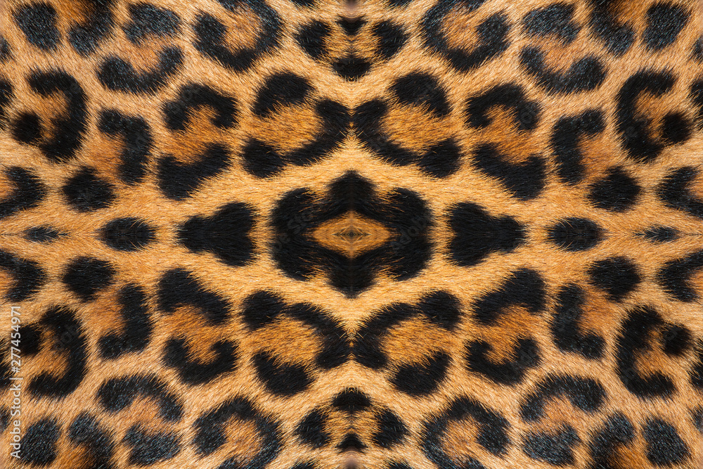 Tiger Tiger