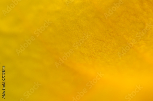 Background image, yellow background, blurred, natural beauty