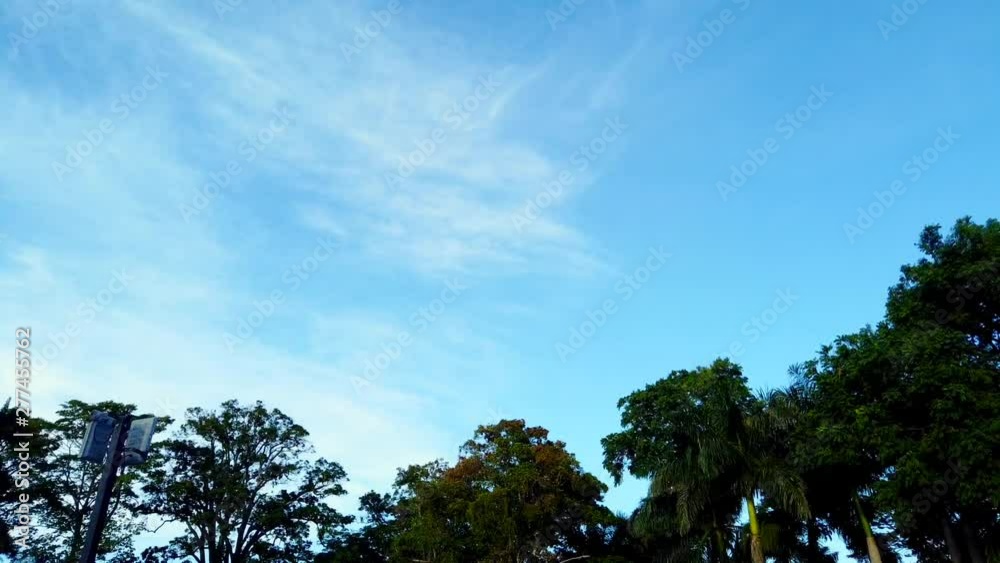 White Flour Time-lapse Dissolving in The Sky White Flour Time-lapse Dissolving in The Sky