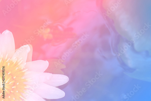 flower background with a pastel colored