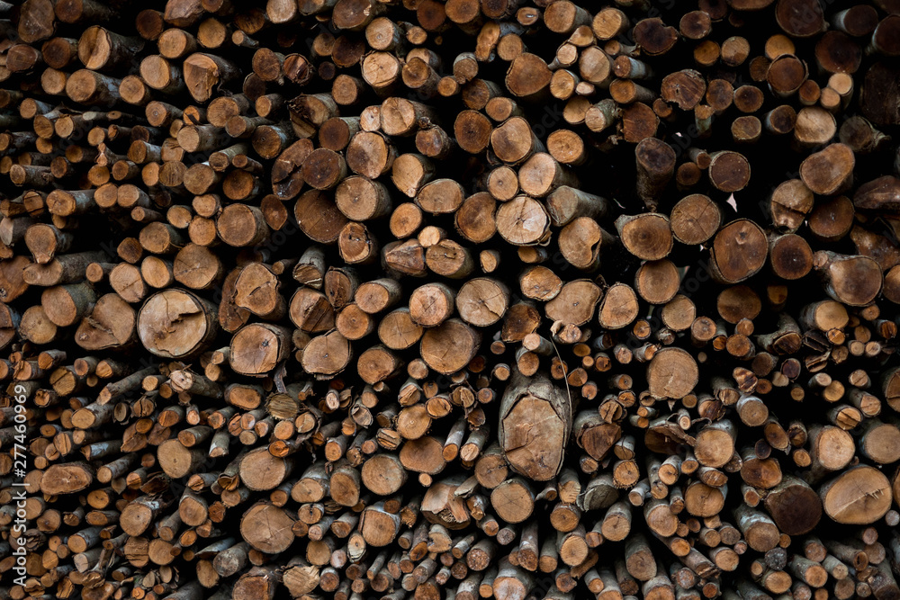 Wall of stacked wood logs as background. Wall of stacked wood logs as background.