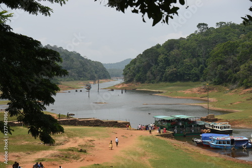 Periyar Lake and forest,Thekkady,  Kerala photo