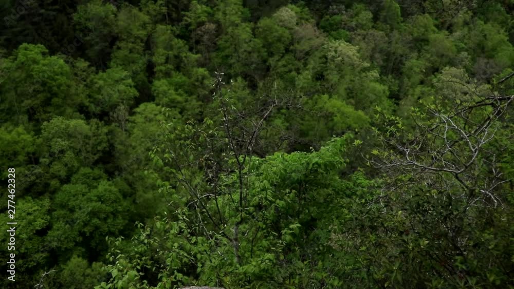 Nice panning shot of the view from a mountain overlook. Great green scenary from the mountain peak. Nice panning shot of the view from a mountain overlook. Great green scenary from the mountain peak.