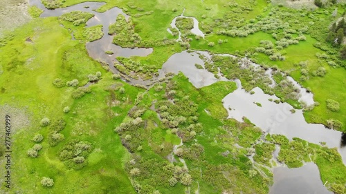 Lush Green Wetlands Near Truckee California - Aerial Drone. photo