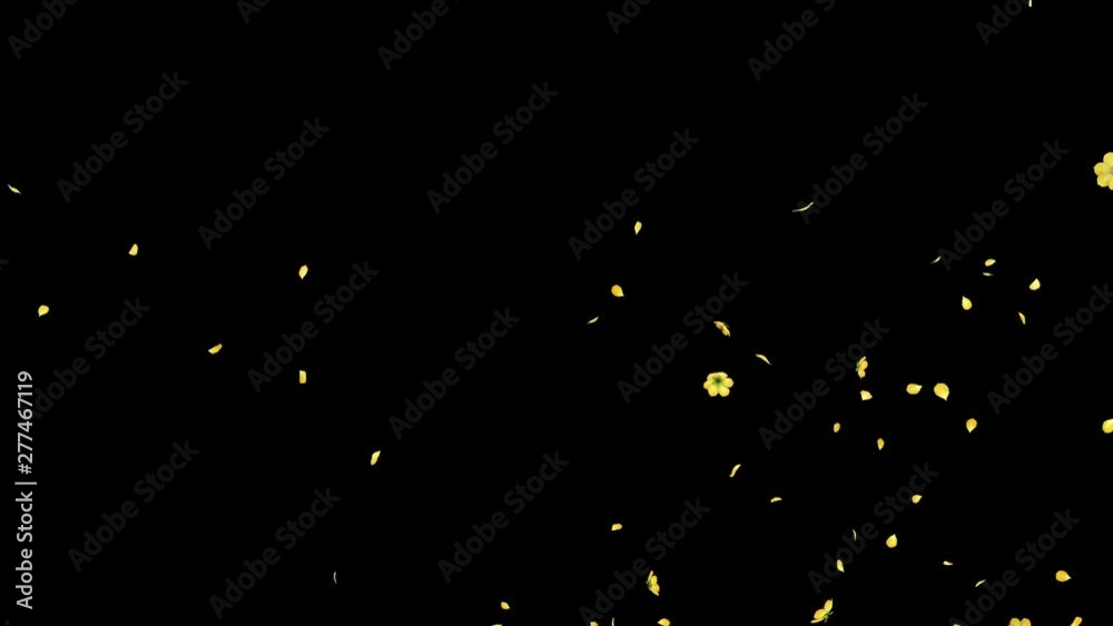 3D animation of a flower petals flow with alpha layer 3D animation of a flower petals flow with alpha layer