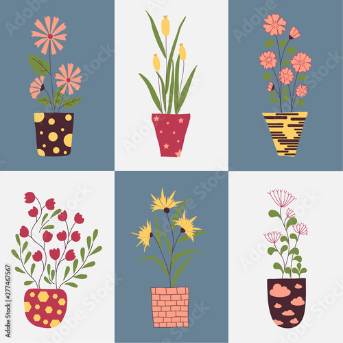 Collection of flowers pots, hand drawn vector design