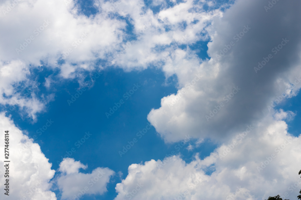 Fototapeta premium White clouds against a blue sky.