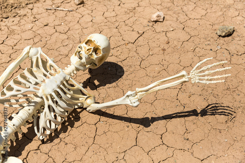 Skeleton parched and dead of thirst on cracked mud in the desert