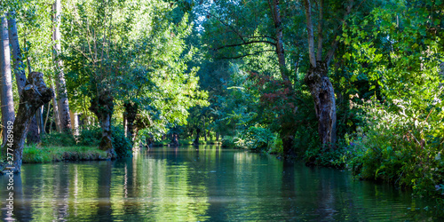 La Venise verte, les marais Poitevin.