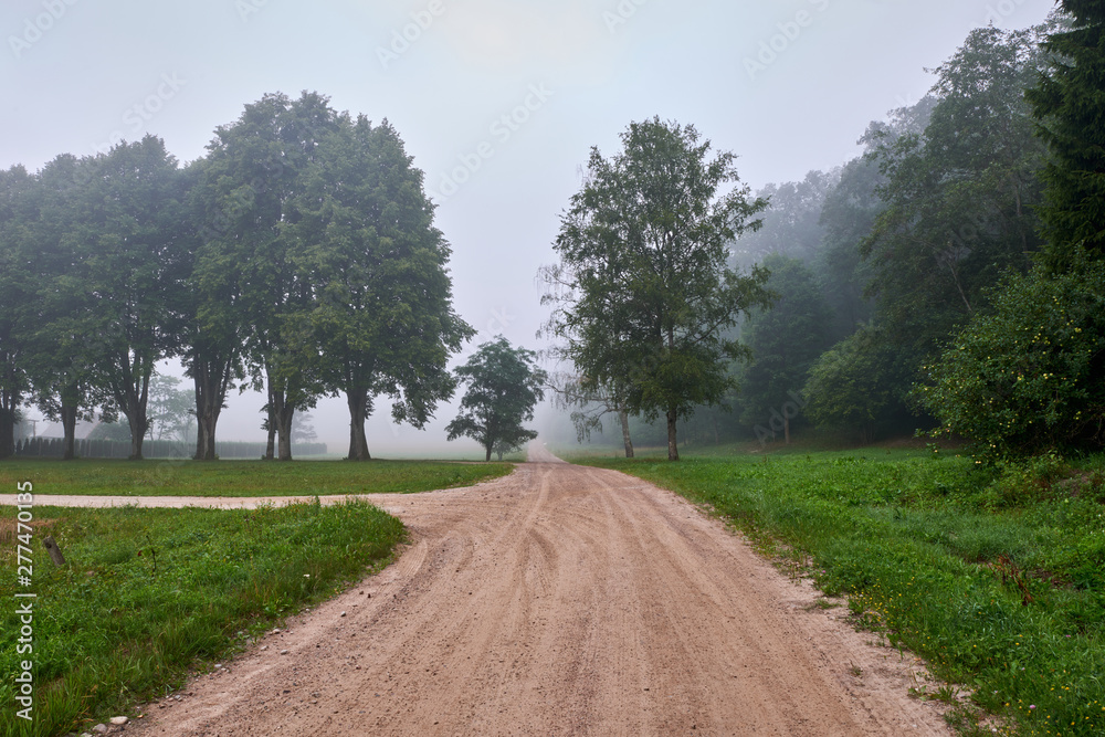 Summer landscape.Road through Lithuanian village.