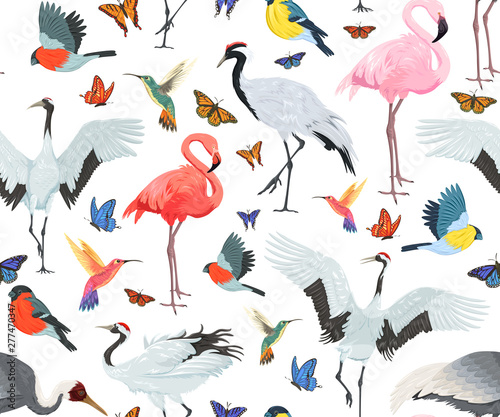 Seamless pattern with birds and butterflies. Flamingos, cranes, hummingbirds, chickadees and bullfinches