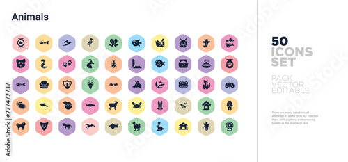 50 animals vector icons set in a colorful hexagon buttons