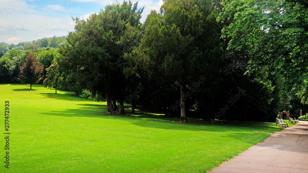Summer park, green meadow and blue sky. Wide photo.