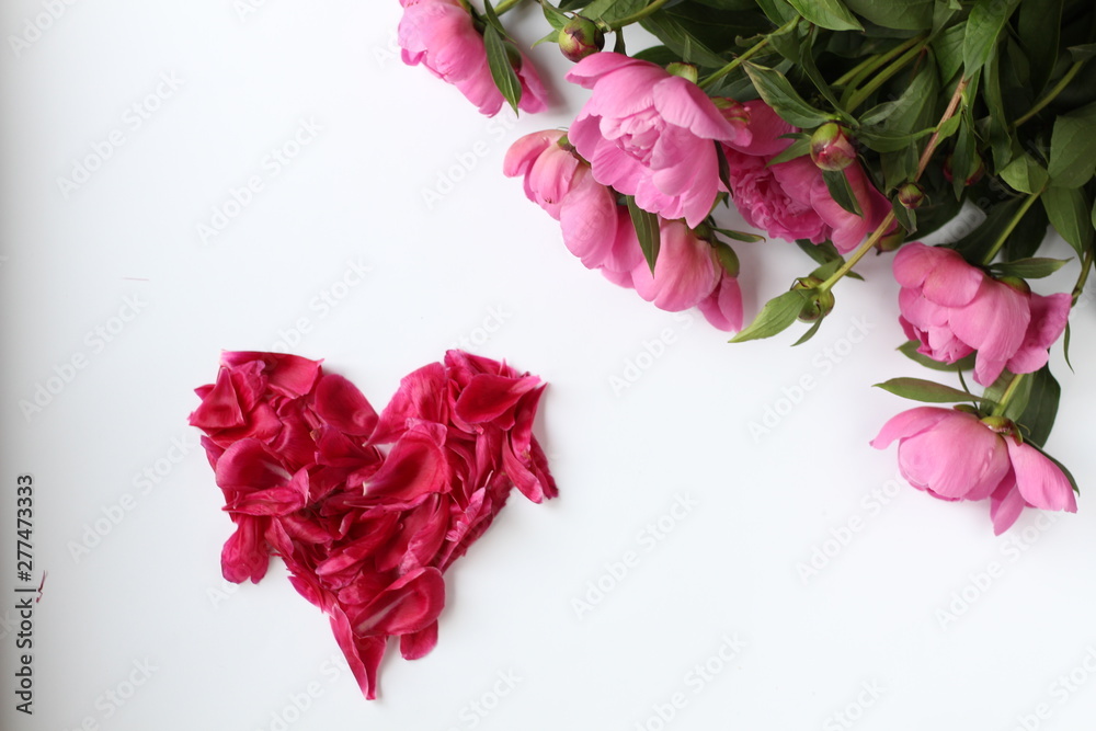 flowers pink peonies on a white background. and petals love, Word love made of petals