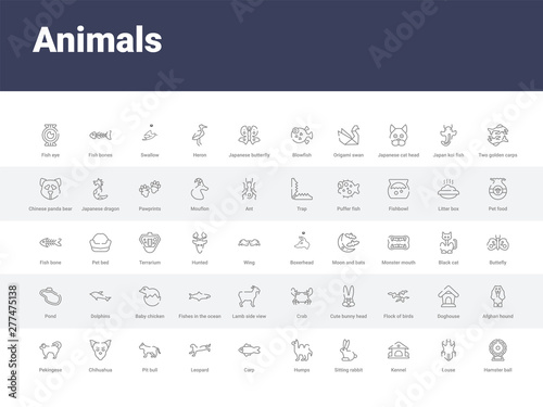 50 animals set icons such as hamster ball, louse, kennel, sitting rabbit, humps, carp, leopard, pit bull, chihuahua. simple modern vector icons can be use for web mobile