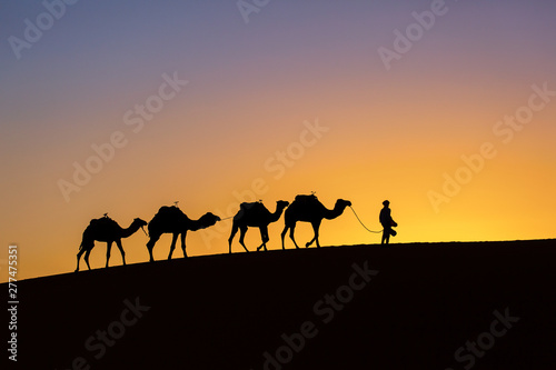 Leinwand Poster Silhouette of a camel caravan at sunrise in desert Sahara, Morocco