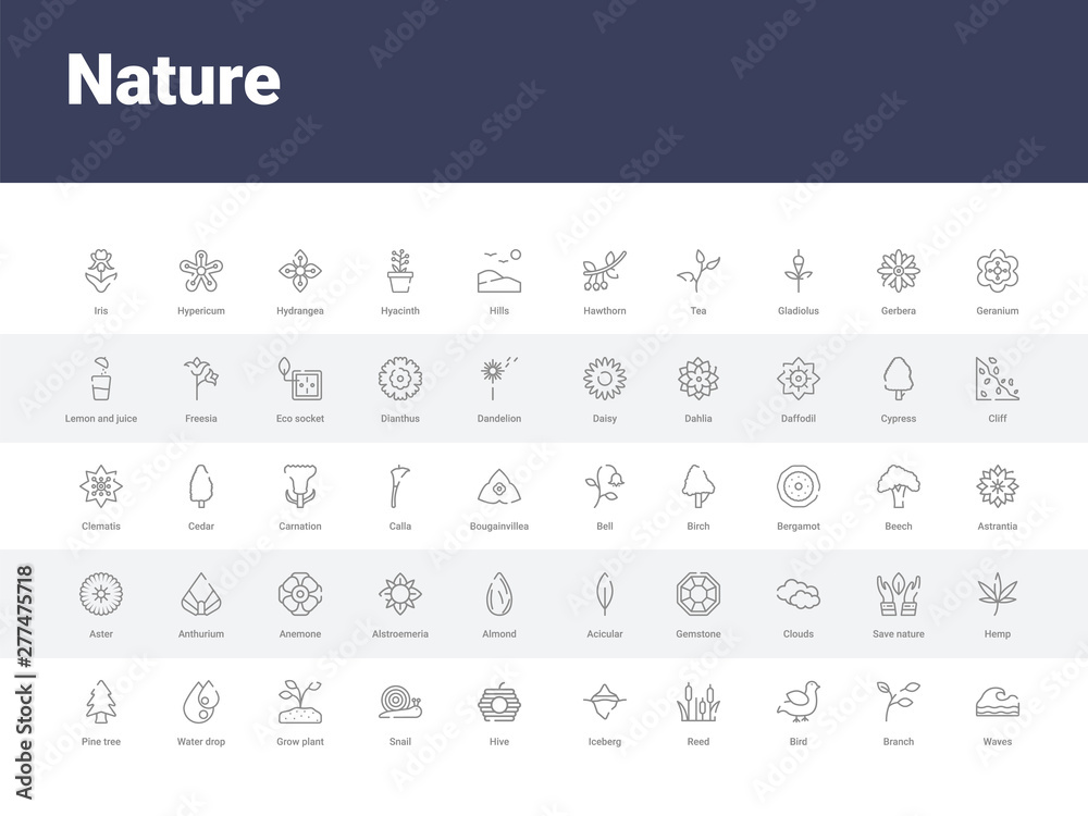 50 nature set icons such as waves, branch, bird, reed, iceberg, hive, snail, grow plant, water drop. simple modern vector icons can be use for web mobile