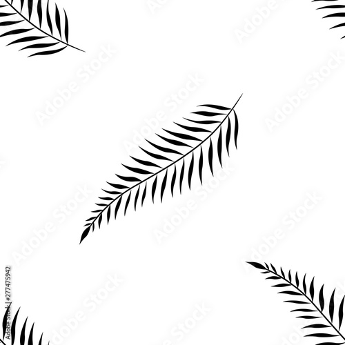 Palm leaves seamless pattern. Black on white background. Vector illustration background. For print, textile, web, home decor, fashion, surface, graphic design