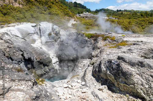 geothermal activity at Whakarewarewa Rotorua New Zealand
