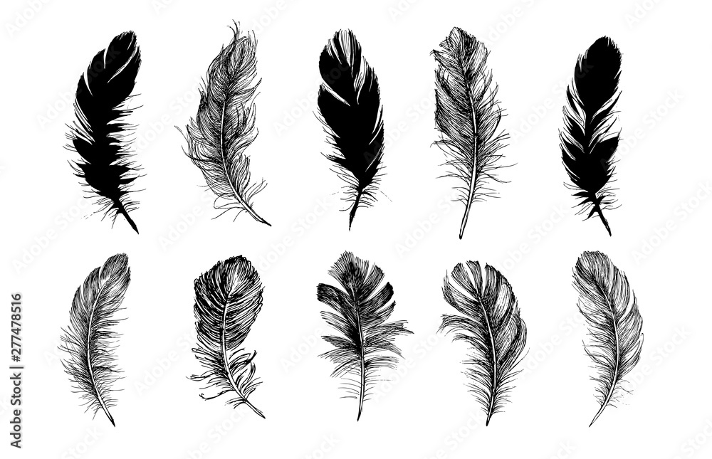 Feather icon set. Hand drawn illustration. Doodle sketch.