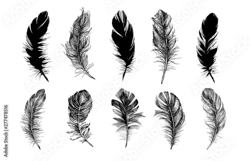 Feather icon set. Hand drawn illustration. Doodle sketch.