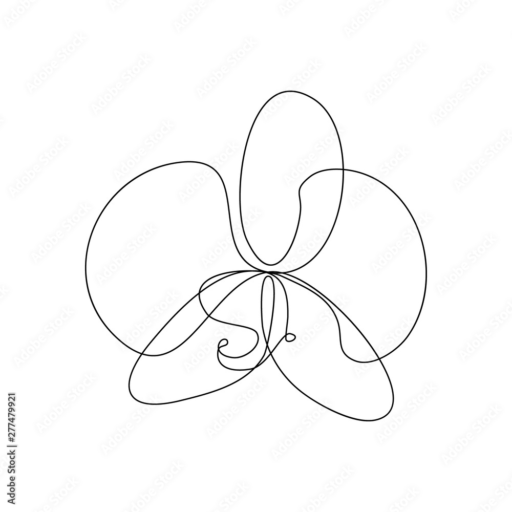 Phalaenopsis orchid flower in one line art drawing style. Vector  illustration Векторный объект Stock | Adobe Stock