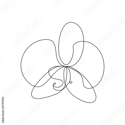 Phalaenopsis orchid flower in one line art drawing style. Vector illustration