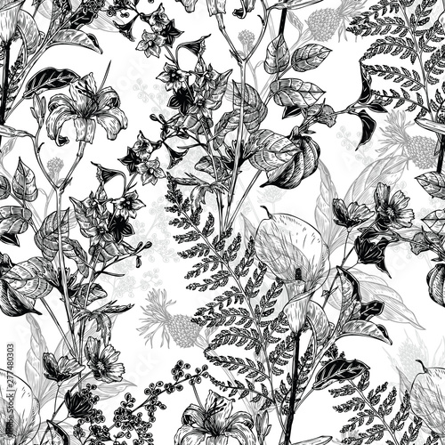 Seamless hand drawn vintage pattern with detailed flowers and herbs. Black and white graphic decoration for paper, textile, wrapping decoration, scrap-booking, t-shirt, cards.