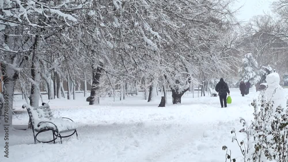 Winter day. Shooting in the park. Shooting in the winter. Winter day. Shooting in the park. Shooting in the winter.