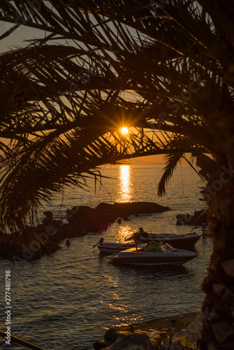 Fototapeta Naklejka Na Ścianę i Meble -  Beautiful sunset with trees and rocks in Dingac Borak, Dalmatia, Croatia, Peljesac peninsula