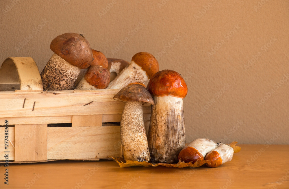 Ceps Mushroom Boletus over Wooden Background. Autumn Boletus edulis Mushrooms close up on wood rustic table. Cooking delicious organic mushroom. Gourmet food.