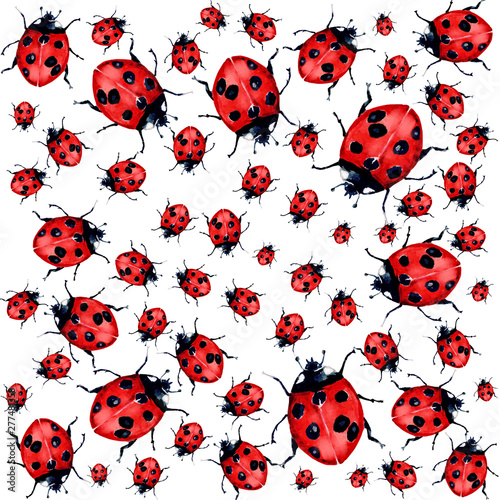 Beautiful red lady bug art illustration 