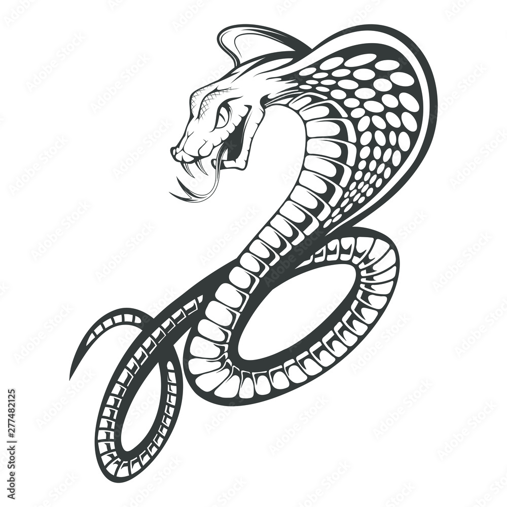 Black King Cobra logo. Snake Tattoo. Indian cobra illustration, drawing.  Vector illustration, aggressive and evil spectacled cobra or Naja naja.  Vector graphics to design Векторный объект Stock | Adobe Stock
