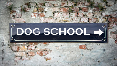 Photography Street Sign to Dog School