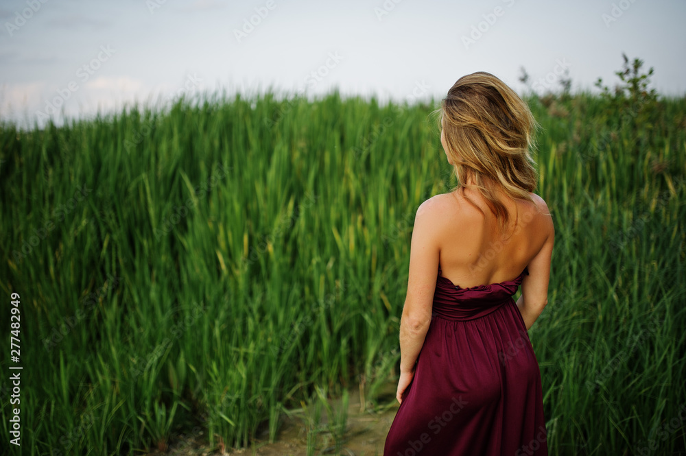 Back of blonde sensual woman in red marsala dress posing in the reeds. Back of blonde sensual woman in red marsala dress posing in the reeds.