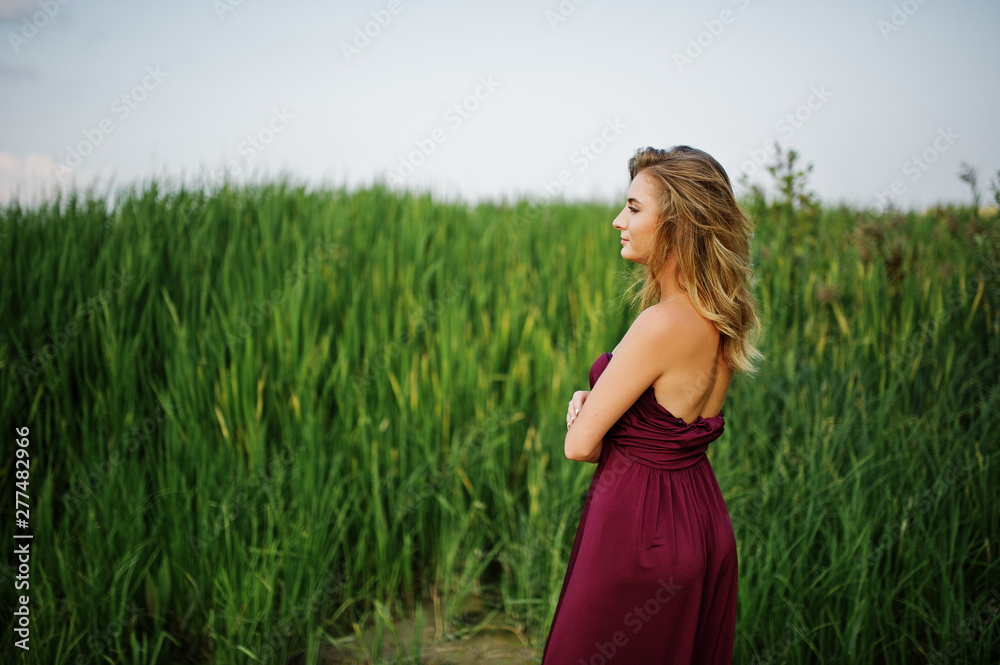 Blonde sensual woman in red marsala dress posing in the reeds. Blonde sensual woman in red marsala dress posing in the reeds.