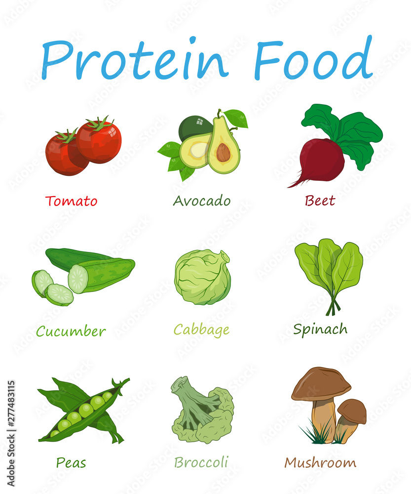 Protein containing foods variety for healthy daily ration. High protein ...