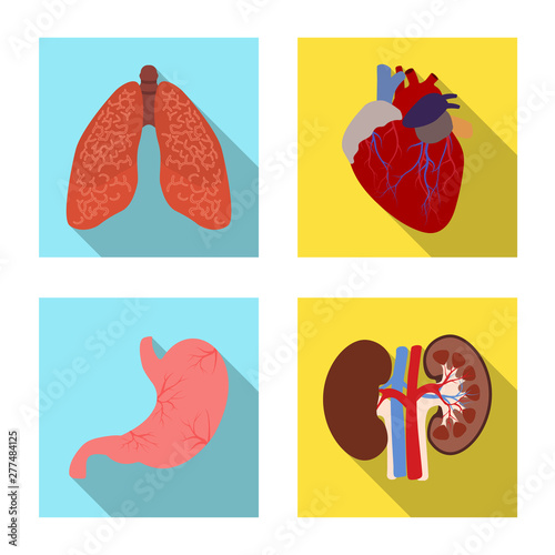 Isolated object of body and human sign. Set of body and medical stock symbol for web.
