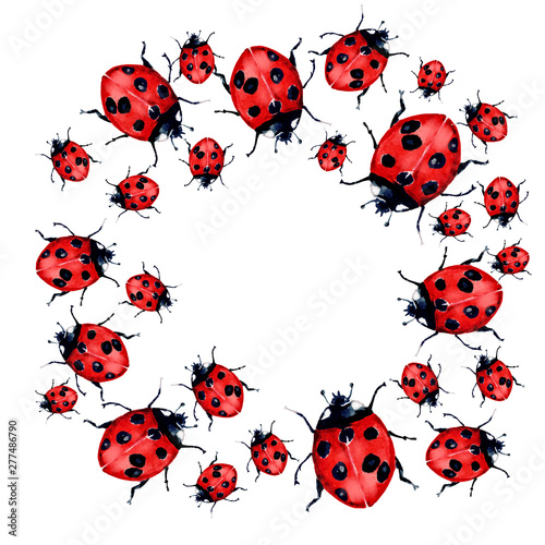 Beautiful red lady bug art illustration