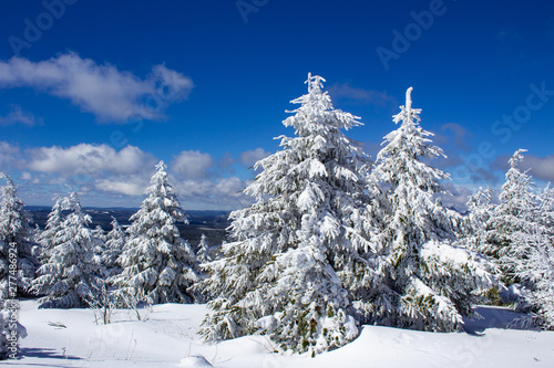 winter landscape at the Fichtelberg Oberwiesenthal © waldenstroem