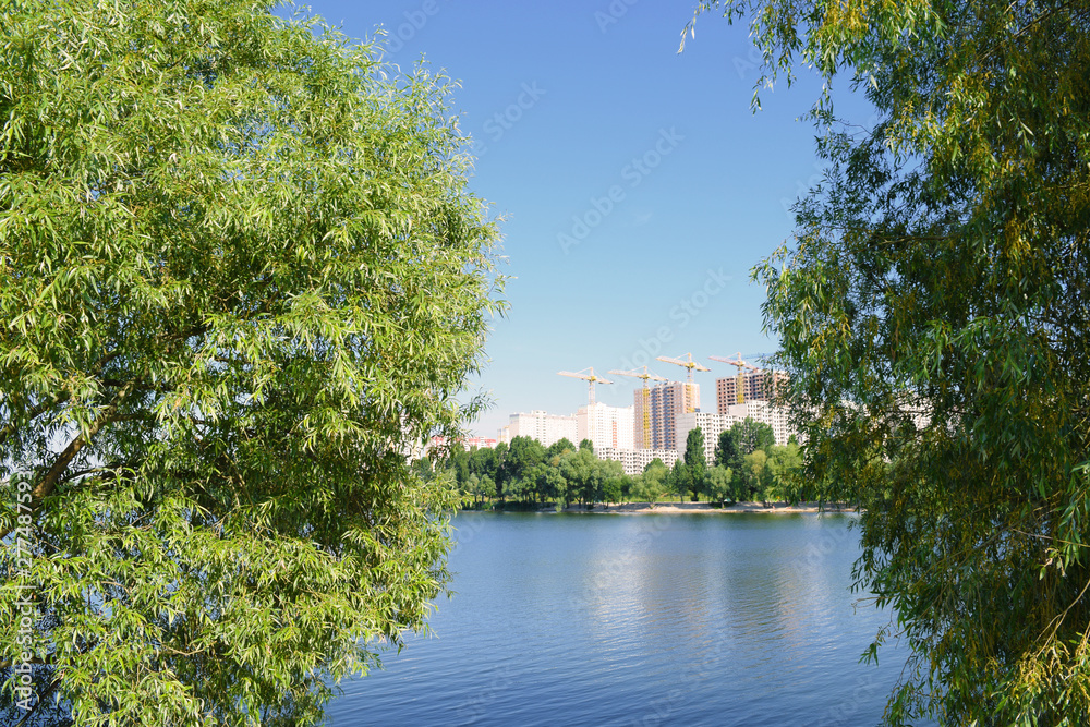Obraz premium View through the green foliage of the lake in the city.